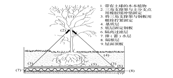 楼顶花园绿化种植规范图片