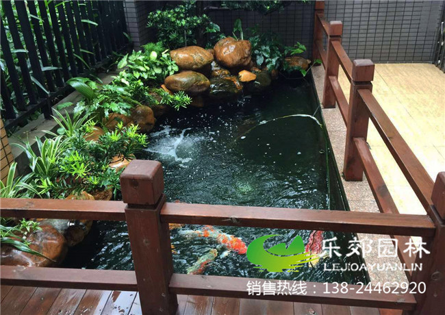 庭院鱼池假山设计图样式6
