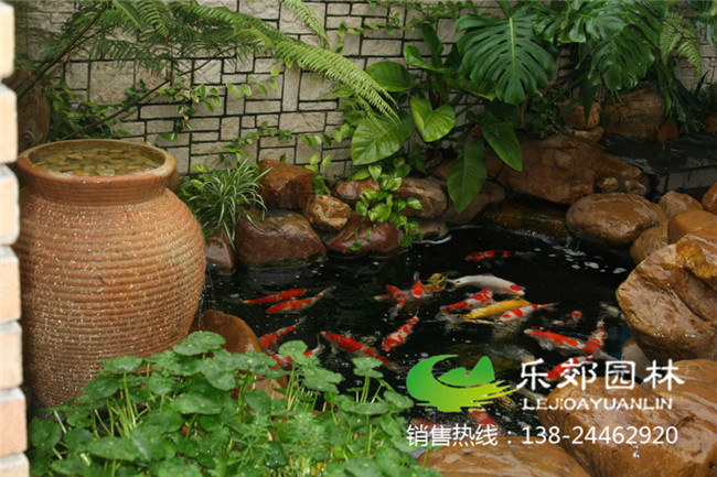家庭院子鱼池设计实景图