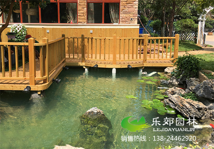 别墅庭院景观鱼池设计图