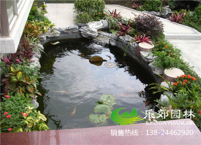 庭院荷花小鱼池设计图
