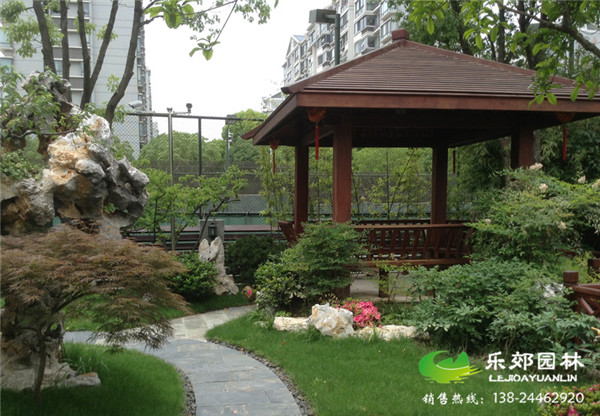 庭院中种植植物的效果图