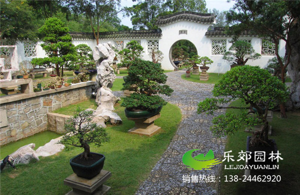 中式庭院设计图片3