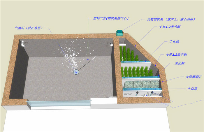 别墅庭院鱼池设计效果图1
